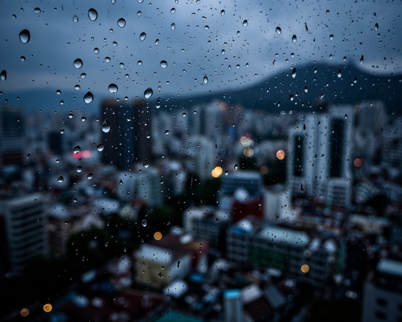 Rainy Seoul Cityscape